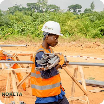 Noreta Farms media 1
