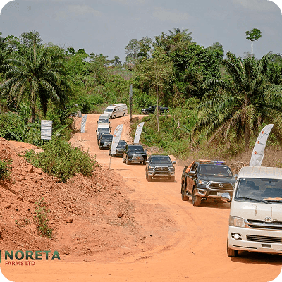Noreta Farms media 10