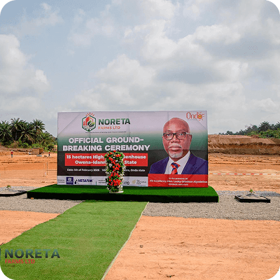 Noreta Farms media 2