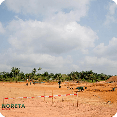 Noreta Farms media 3