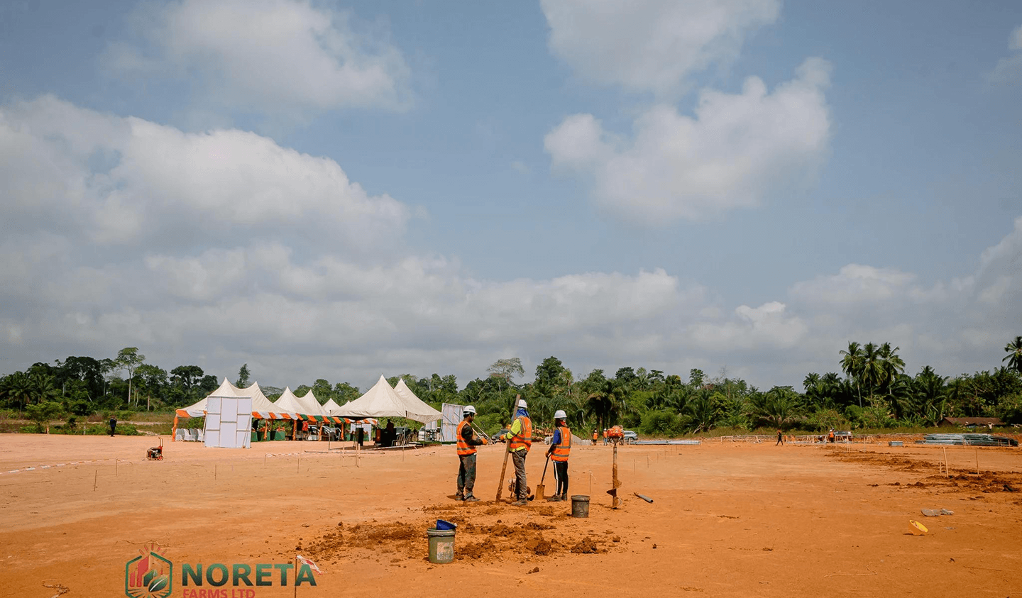 Noreta Farms Career