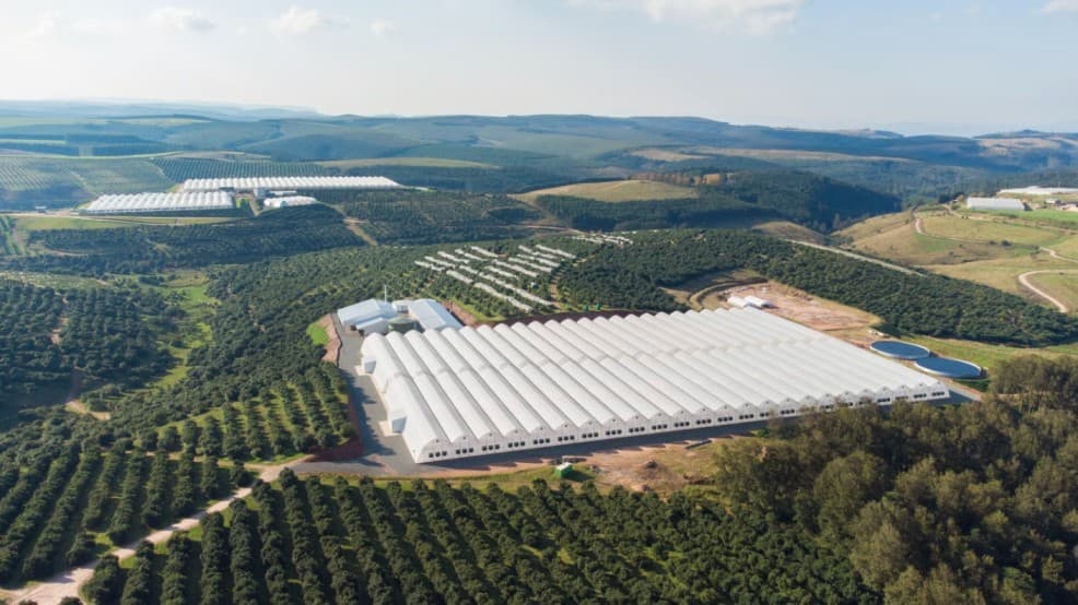 Cold-Chain Infrastructure